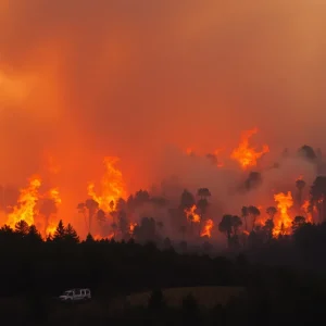 Southern California Wildfire Scene