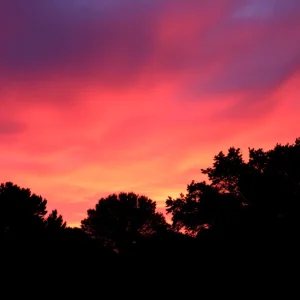 Vibrant sunrise colors over Tallahassee